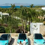 Taf & Tesla