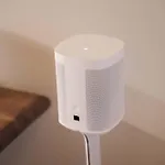 Taf & Tesla 4*